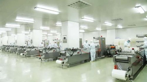 探訪煌上煌醬鹵博物館 美食工廠變身文化旅游景區(qū)，打造獨特文旅新地標